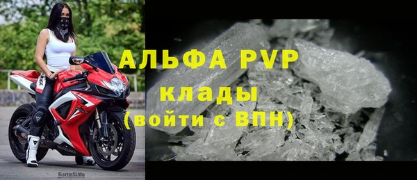 СК Белокуриха