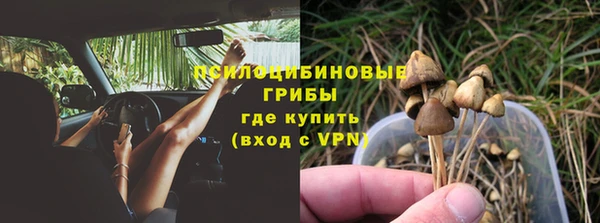 трава Канск