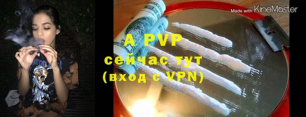 СК Белокуриха