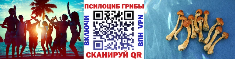 Псилоцибиновые грибы мицелий  ссылка на мегу ТОР  Волосово 